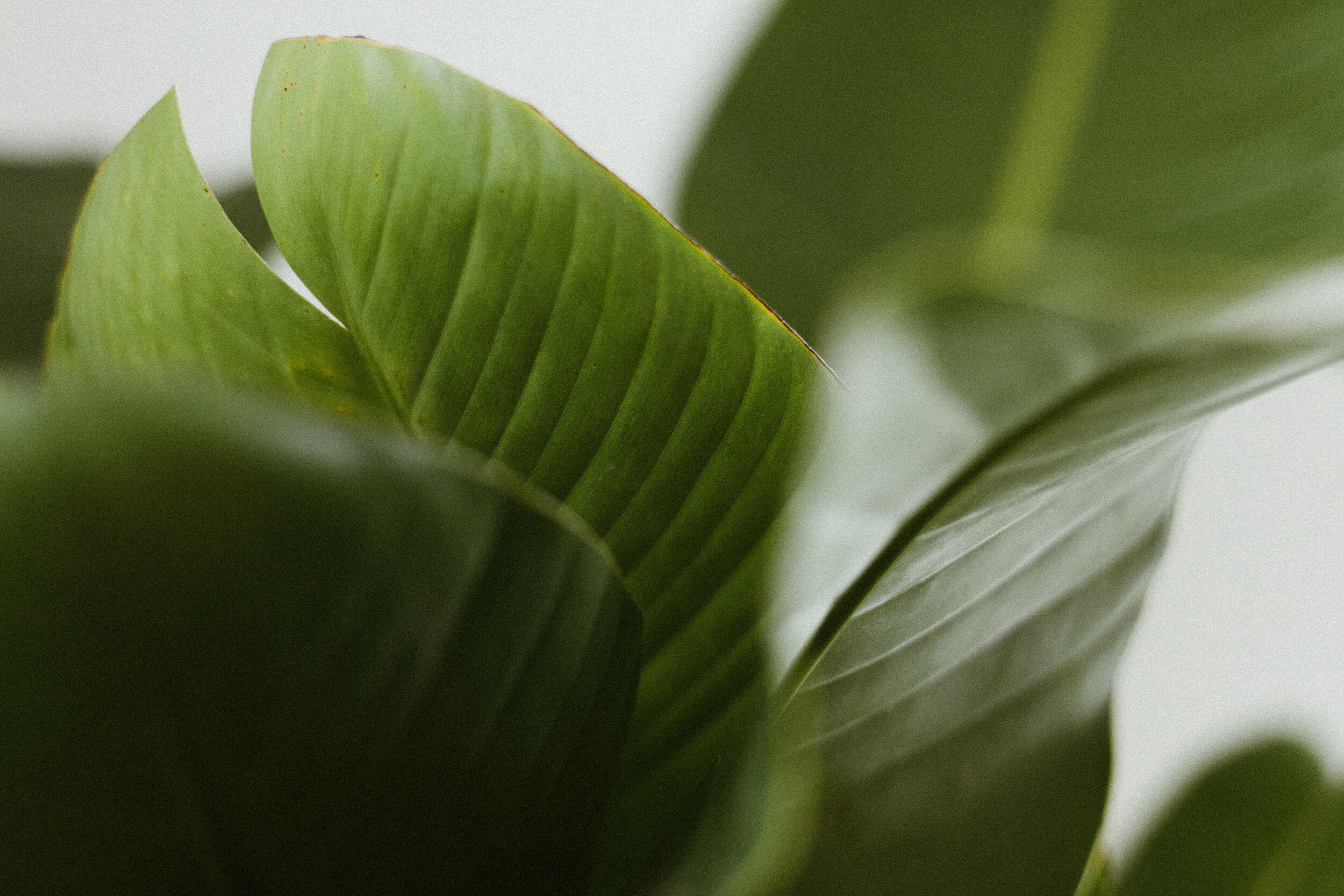 Organized estate sale items arranged for display